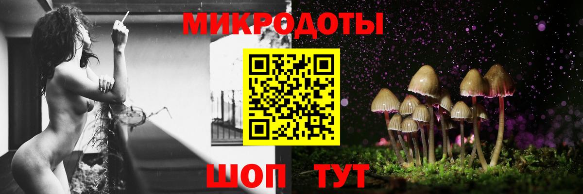 Гусиноозёрск  Галлюциногенные грибы Psilocybe  Галлюциногенные грибы мицелий  Вход с VPN 